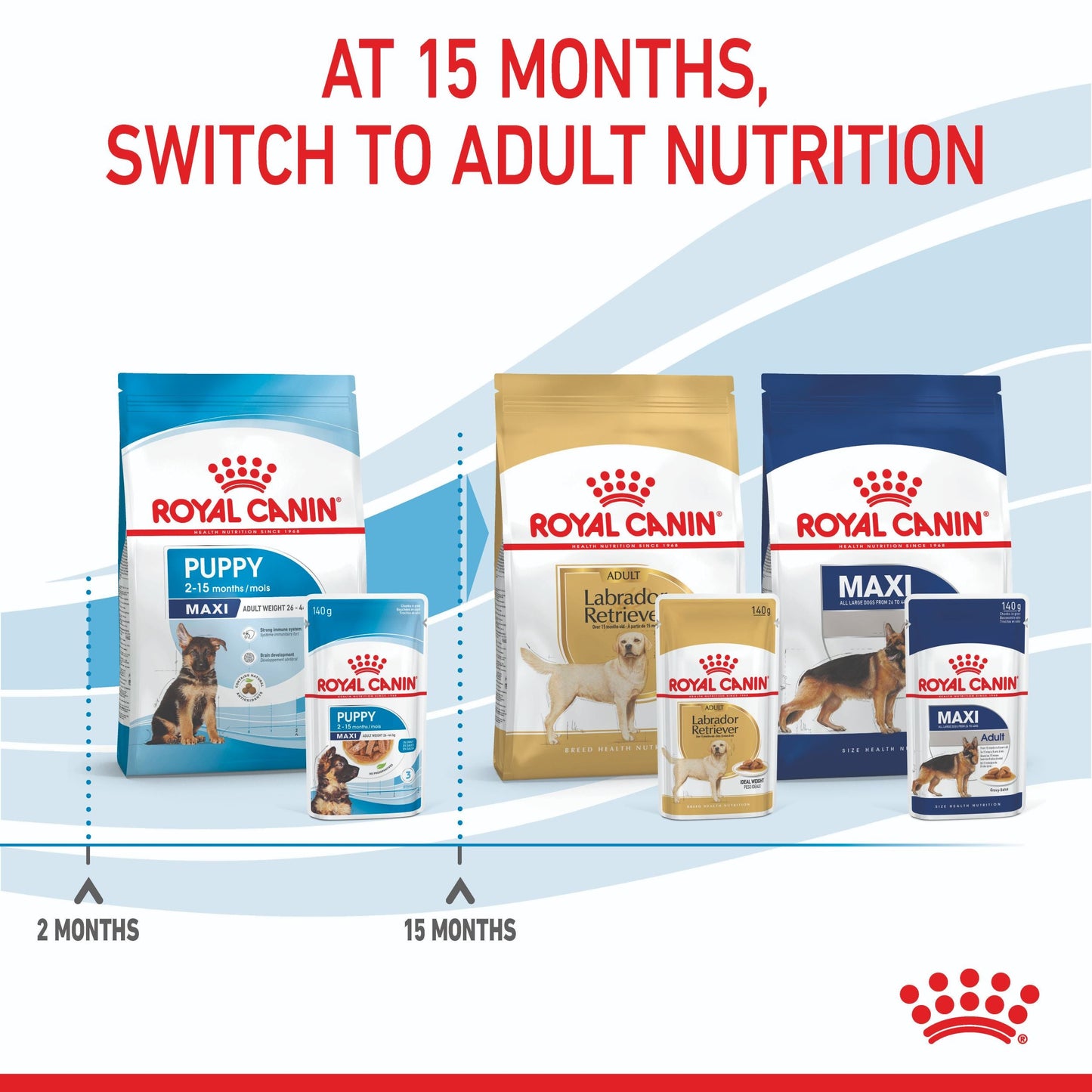 Royal Canin Maxi Puppy Wet Dog Food