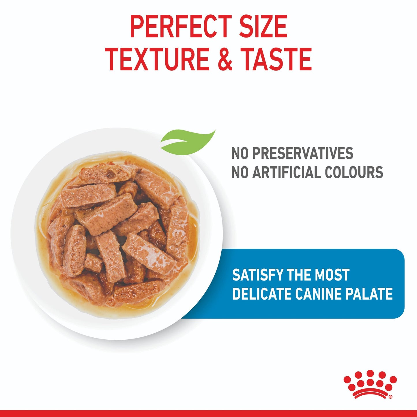 Royal Canin Maxi Puppy Wet Dog Food