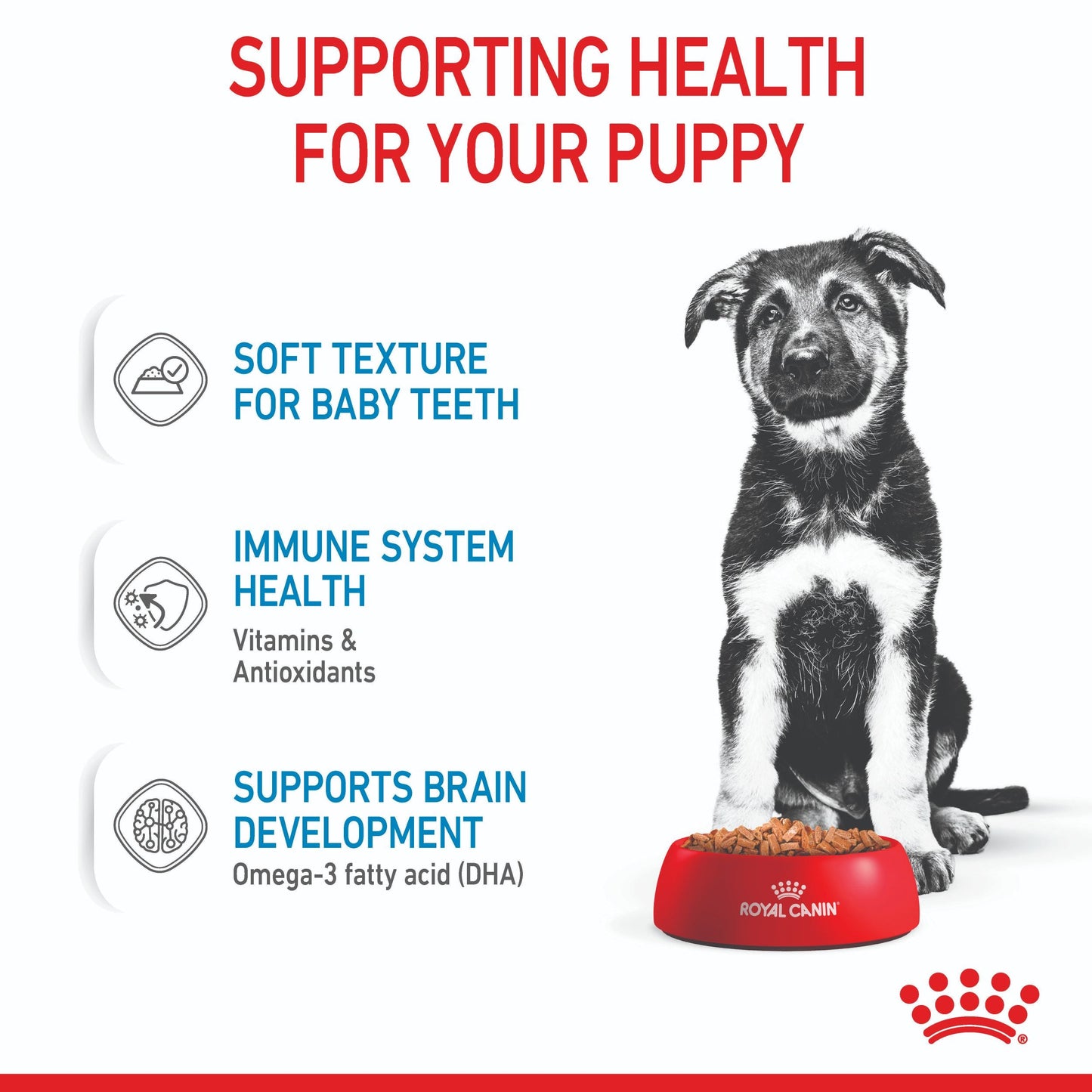 Royal Canin Maxi Puppy Wet Dog Food