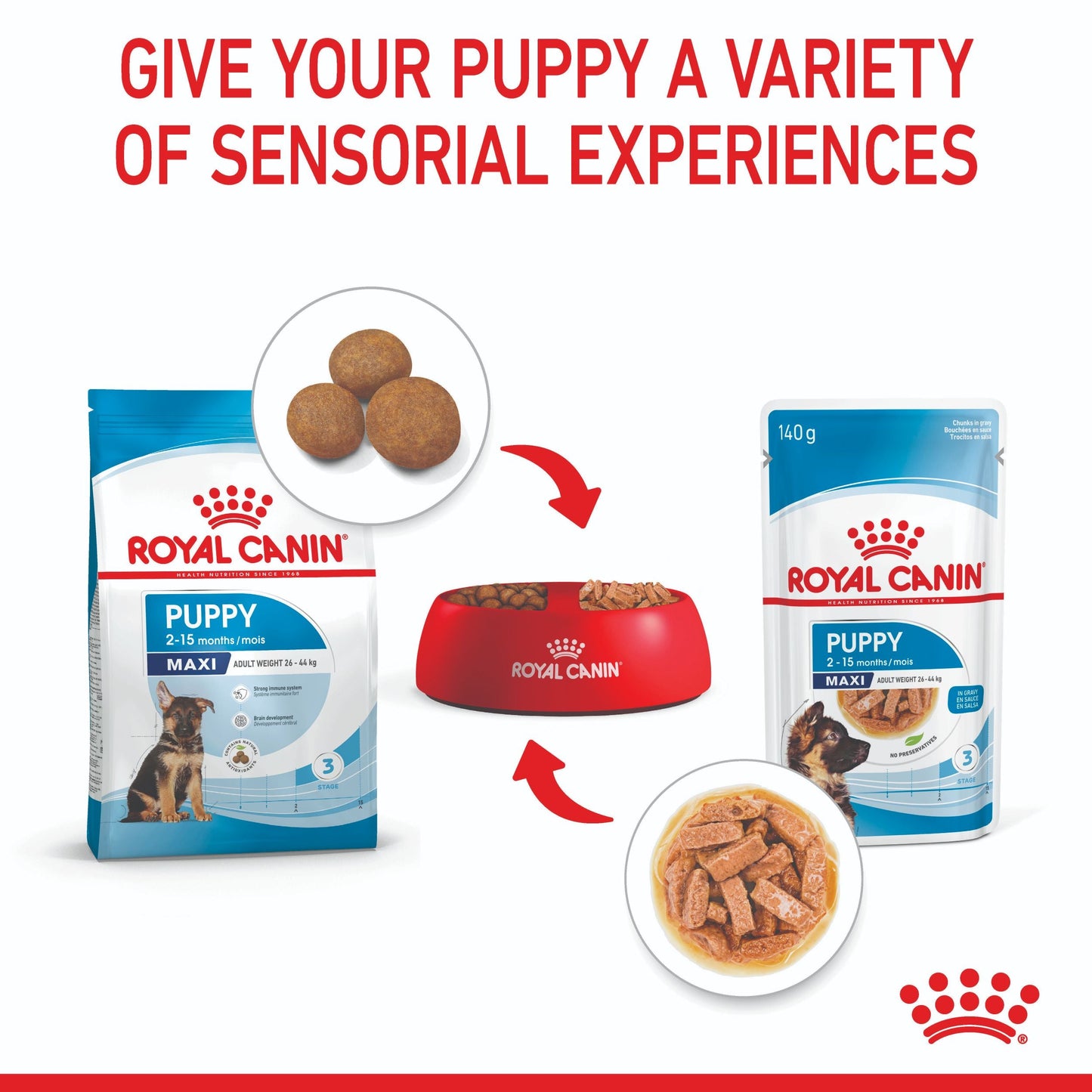 Royal Canin Maxi Puppy Wet Dog Food