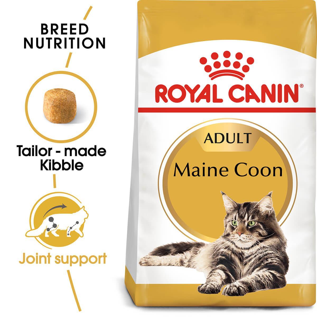 Royal Canin Maine Coon Dry Cat Food