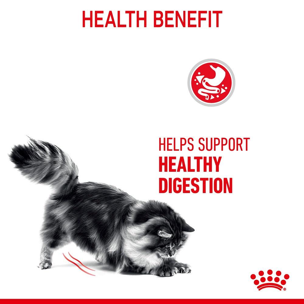 Royal Canin Digestive Care Dry Cat Food