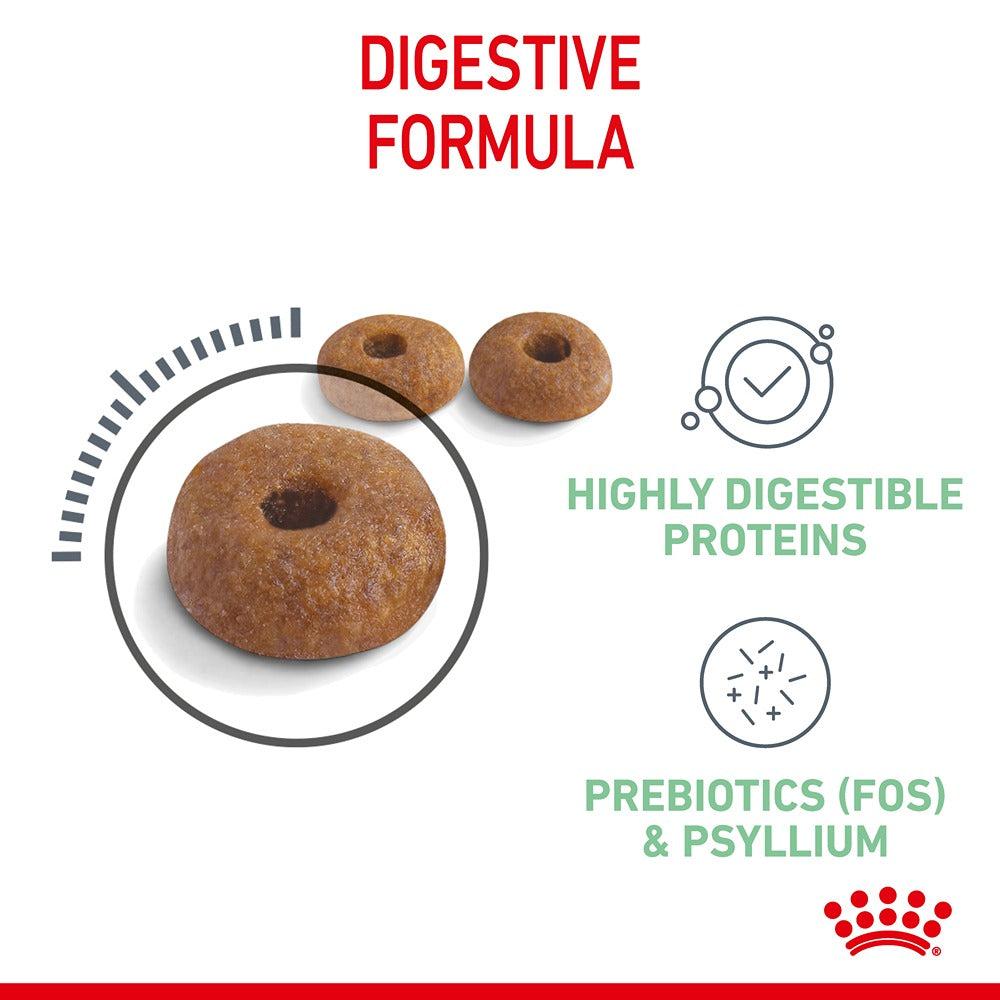 Royal Canin Digestive Care Dry Cat Food