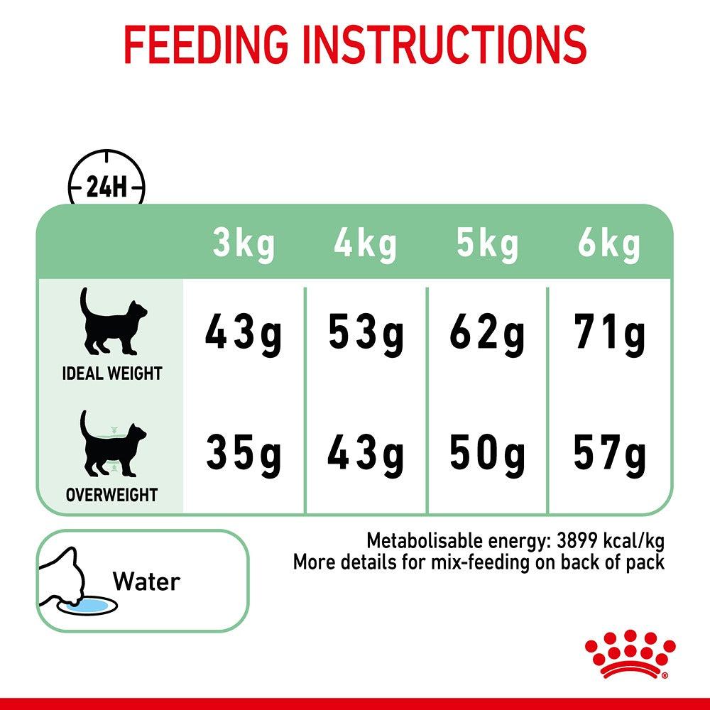Royal Canin Digestive Care Dry Cat Food