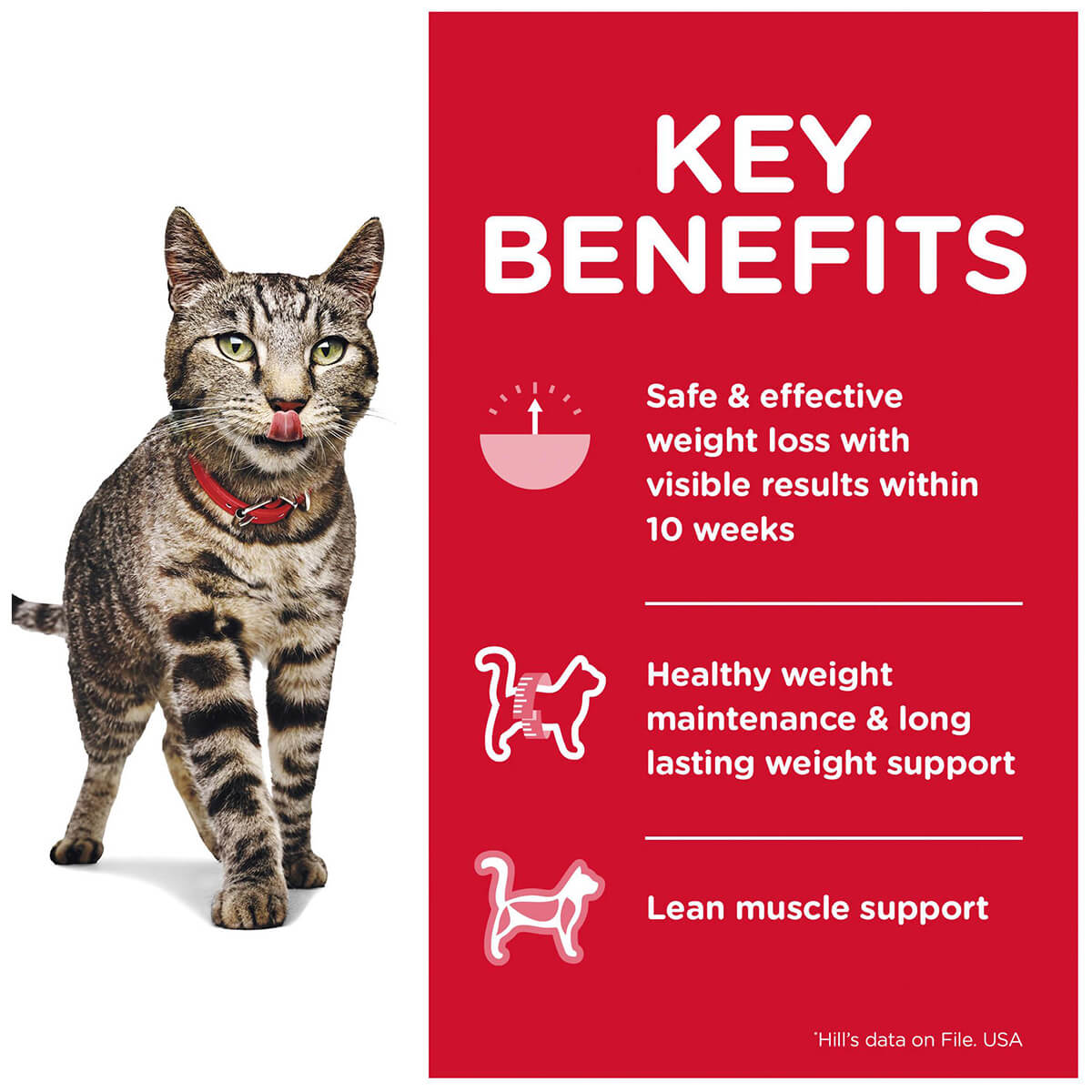 Hill's Science Diet Perfect Weight Adult Salmon Wet Food 85g