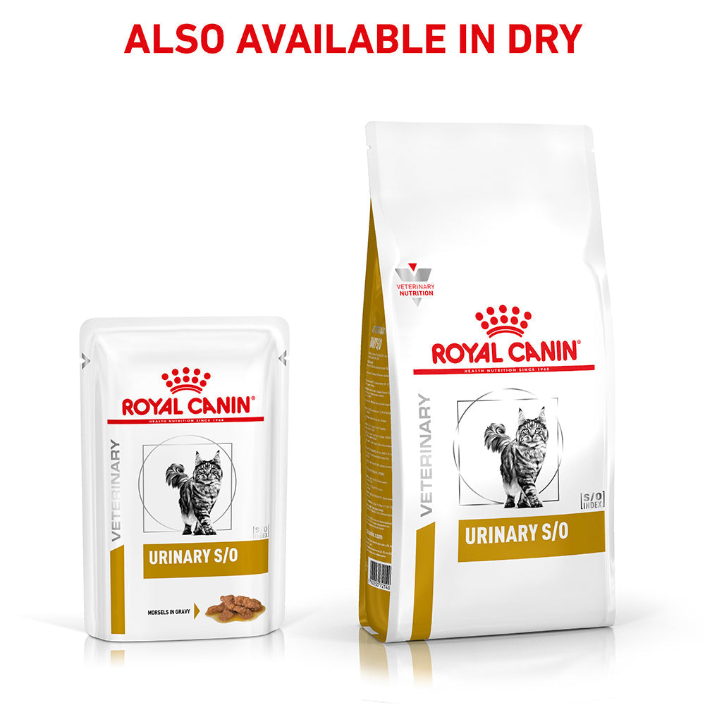 ROYAL CANIN VETERINARY DIET Urinary S/O Adult Wet Cat Food Pouches