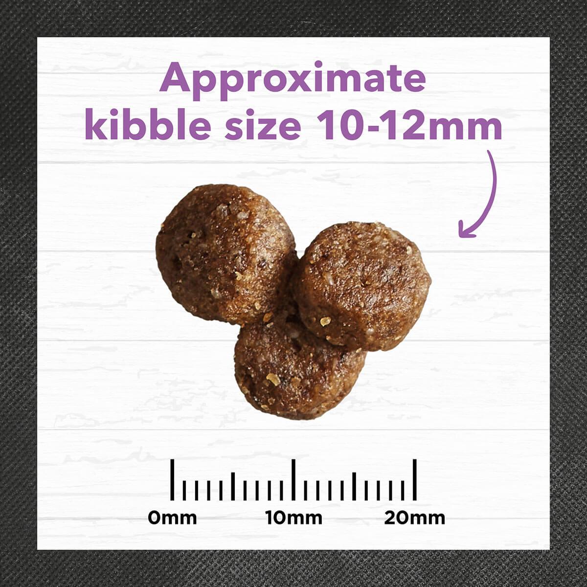 Ivory Coat Large Breed Puppy Turkey & Brown Rice Dry Dog Food