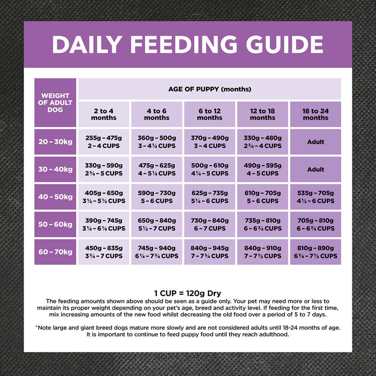 Ivory Coat Large Breed Puppy Turkey & Brown Rice Dry Dog Food