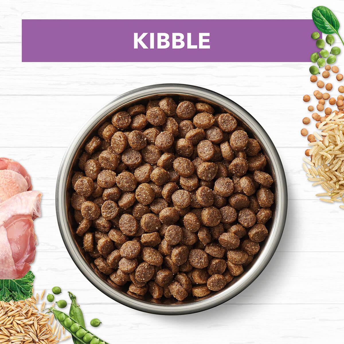 Ivory Coat Large Breed Puppy Turkey & Brown Rice Dry Dog Food