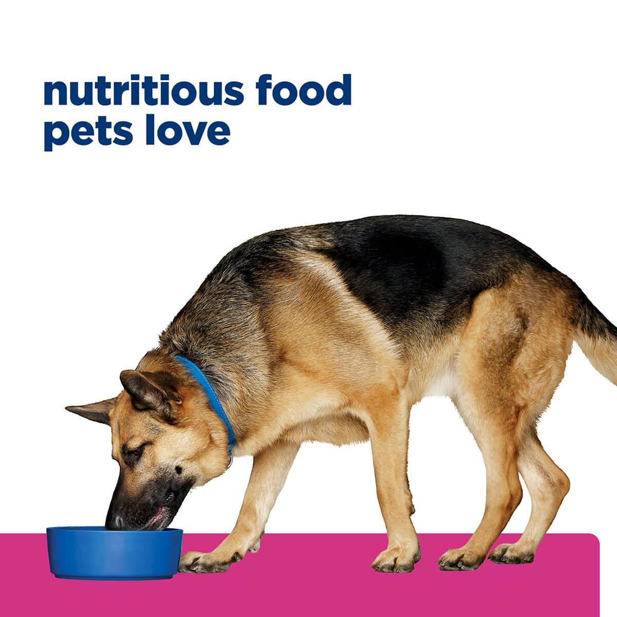 Hill's Prescription Diet Gastro Biome Digest/Fibre Dry Dog Food