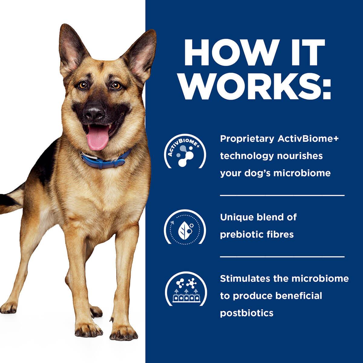 Hill's Prescription Diet Gastro Biome Digest/Fibre Dry Dog Food