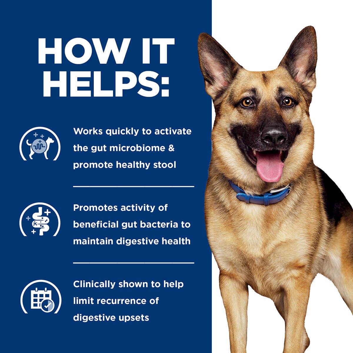 Hill's Prescription Diet Gastro Biome Digest/Fibre Dry Dog Food