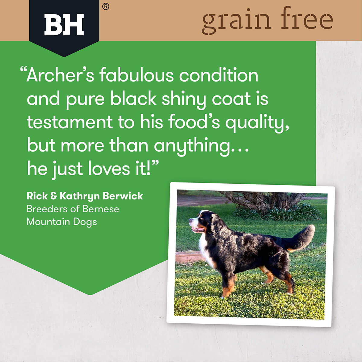 Black Hawk Grain Free Large Breed Adult Chicken Dry Dog Food