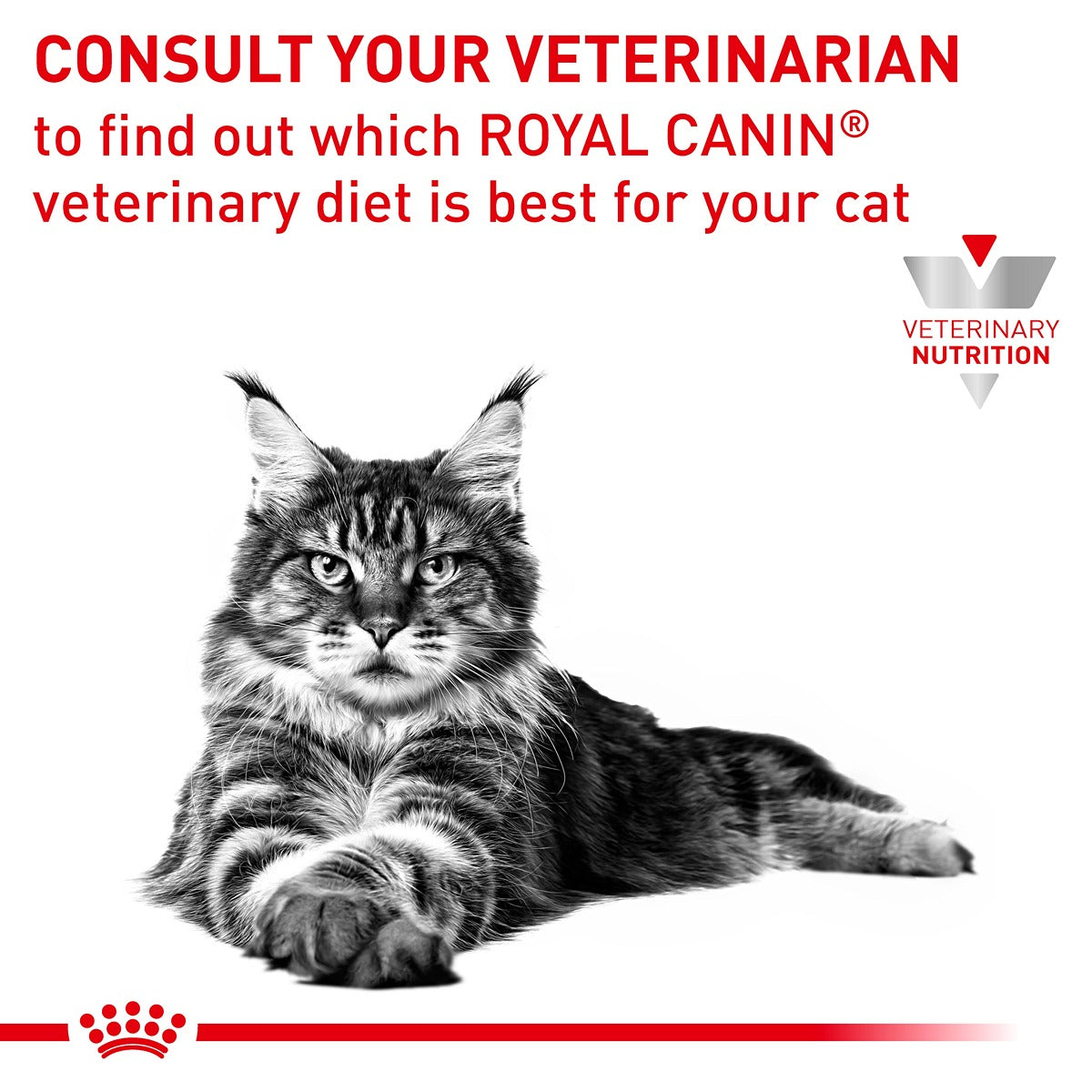 Royal Canin Veterinary Sensitivity Control Adult Wet Cat Food