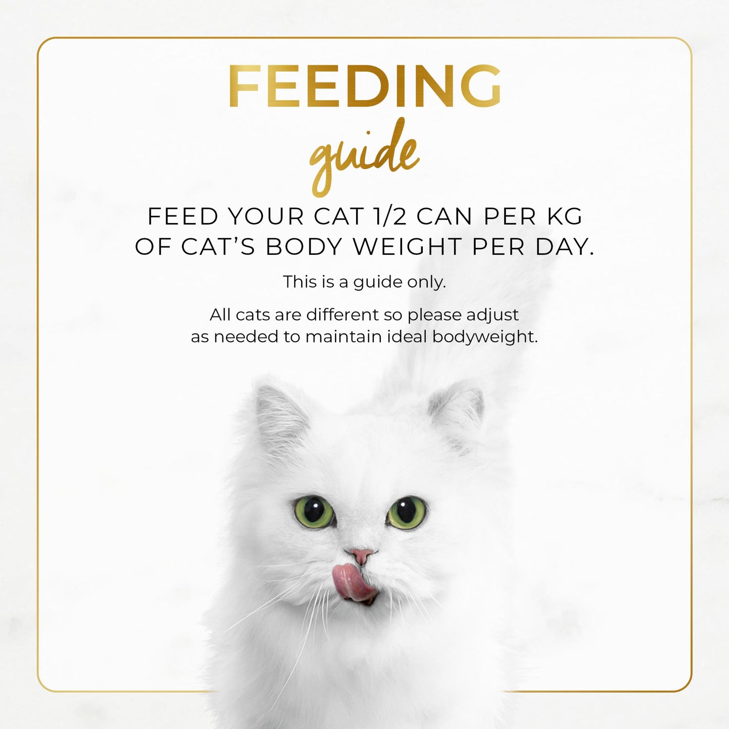 Fancy Feast Classic Pate Savoury Salmon Feast Wet Cat Food