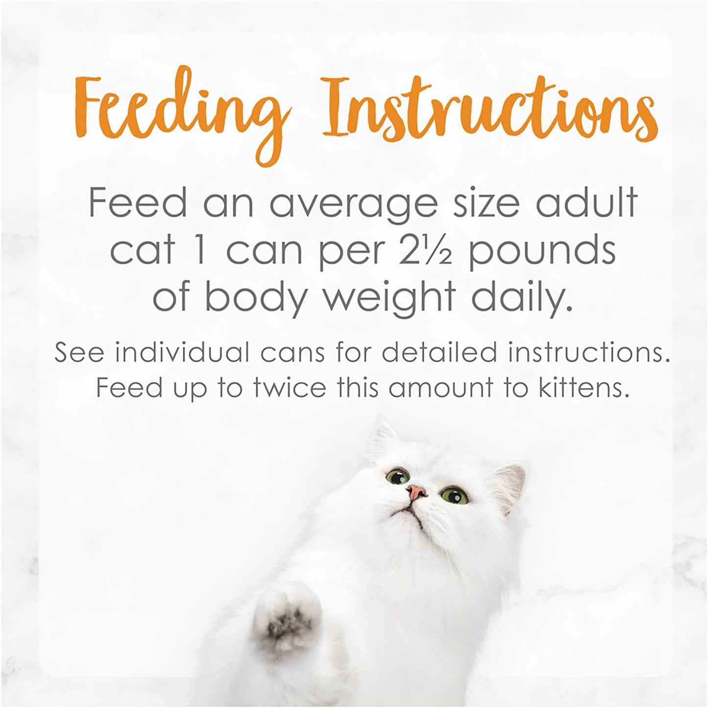 Fancy Feast Delights With Cheddar Grilled Chicken & Cheddar Cheese Wet Cat Food