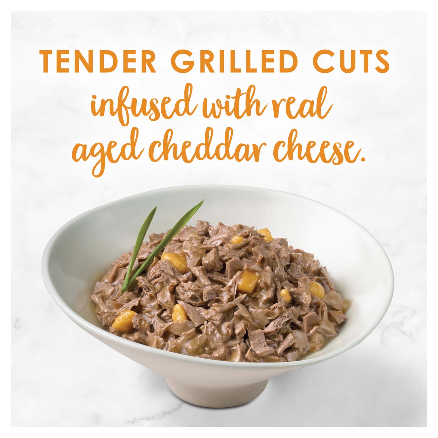 Fancy Feast Delights With Cheddar Grilled Chicken & Cheddar Cheese Wet Cat Food