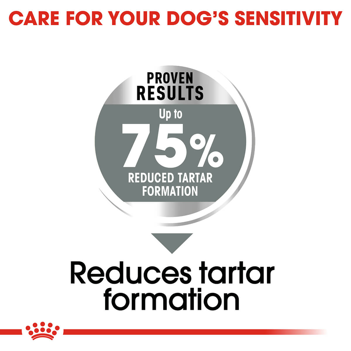 Royal Canin Maxi Dental Care Adult Dry Dog Food