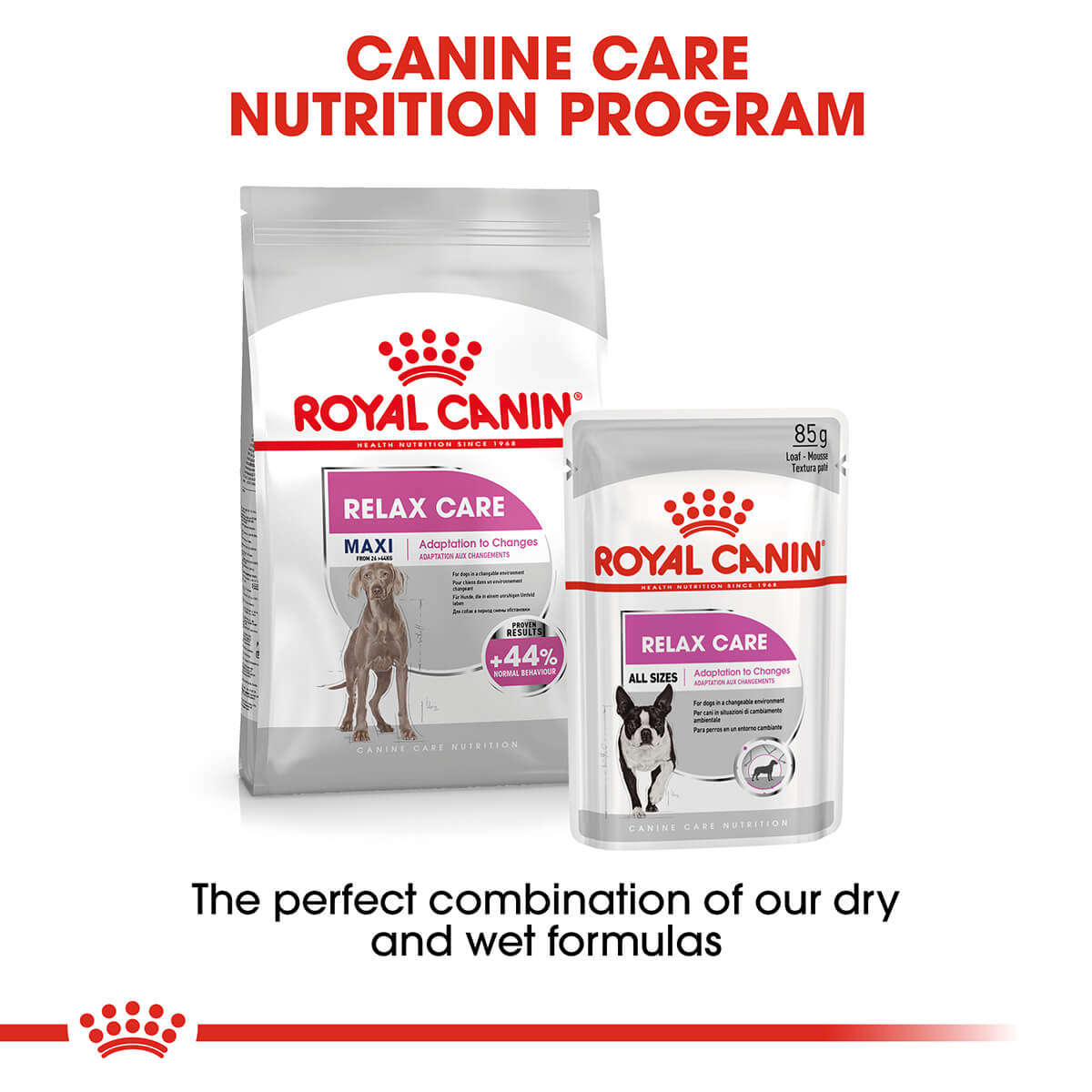 Royal Canin Maxi Relax Care Adult Dry Dog Food