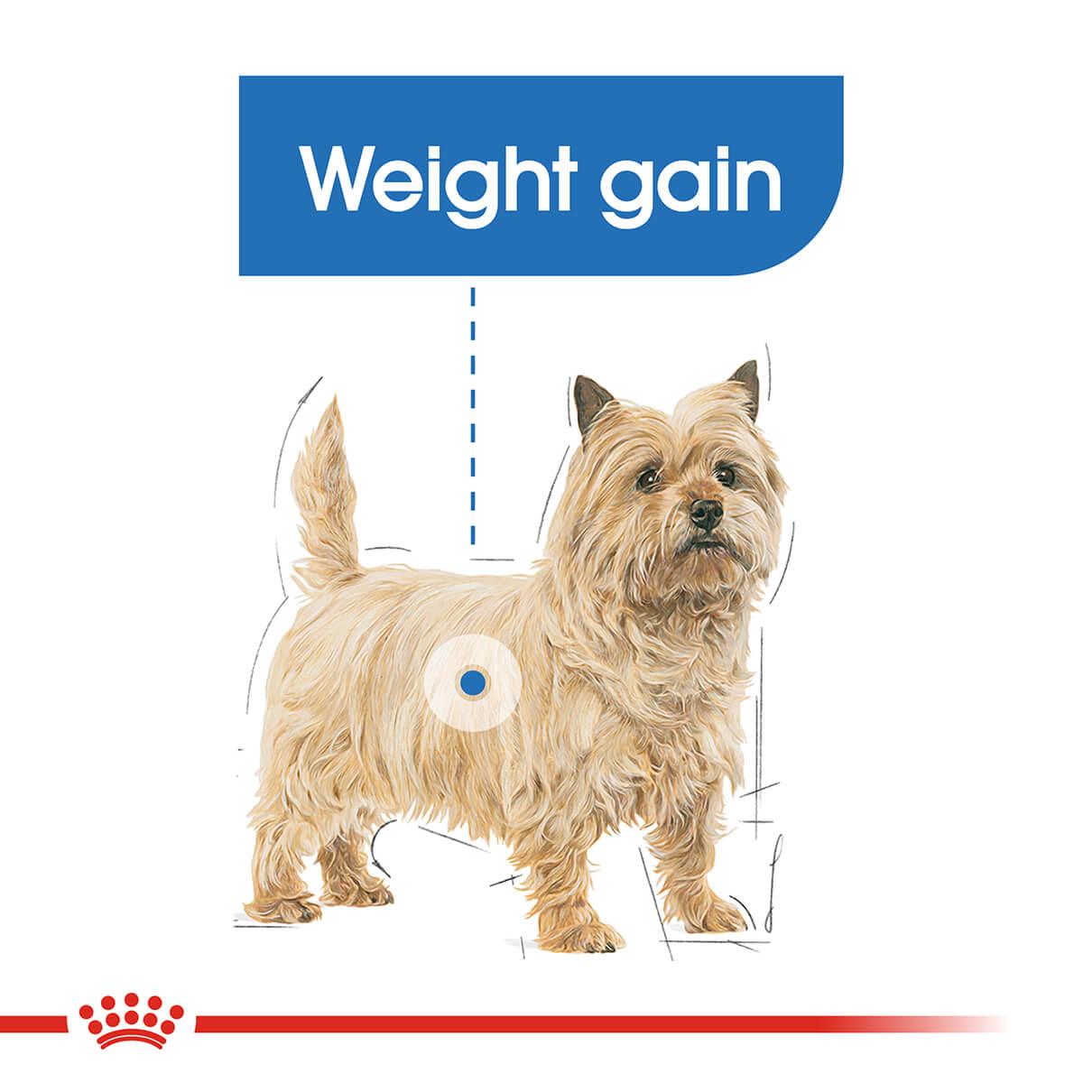 Royal Canin Light Weight Care Loaf Adult Wet Dog Food