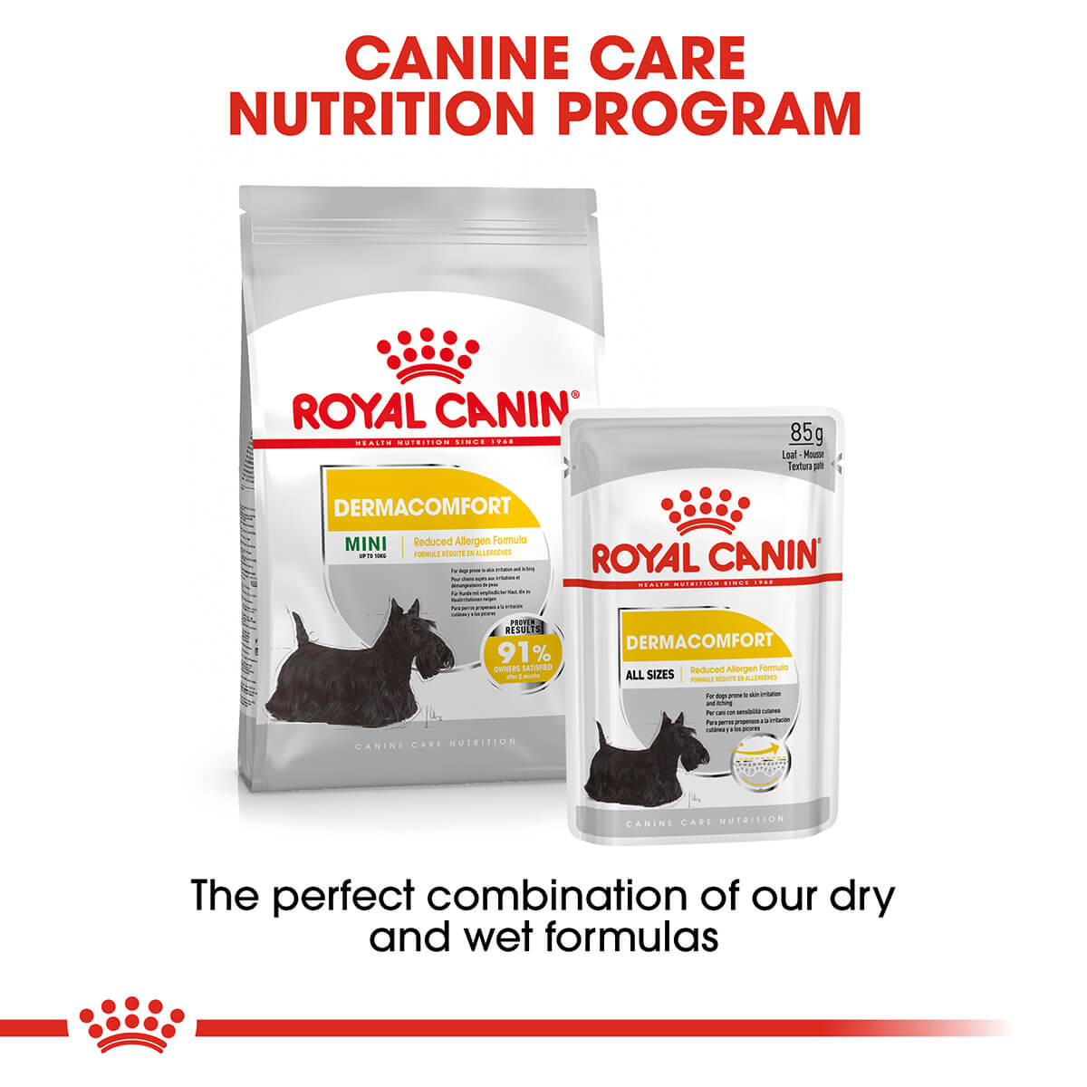 Royal Canin Dermacomfort Adult Loaf Wet Dog Food