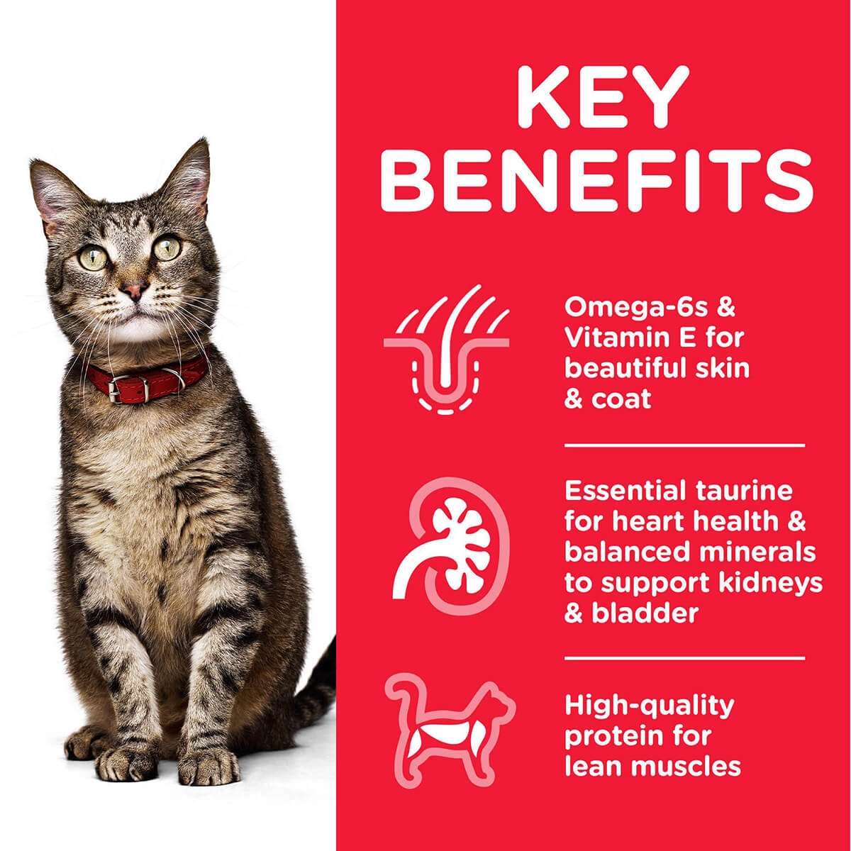 Hill's Science Diet Adult Beef Wet Cat Food 85g