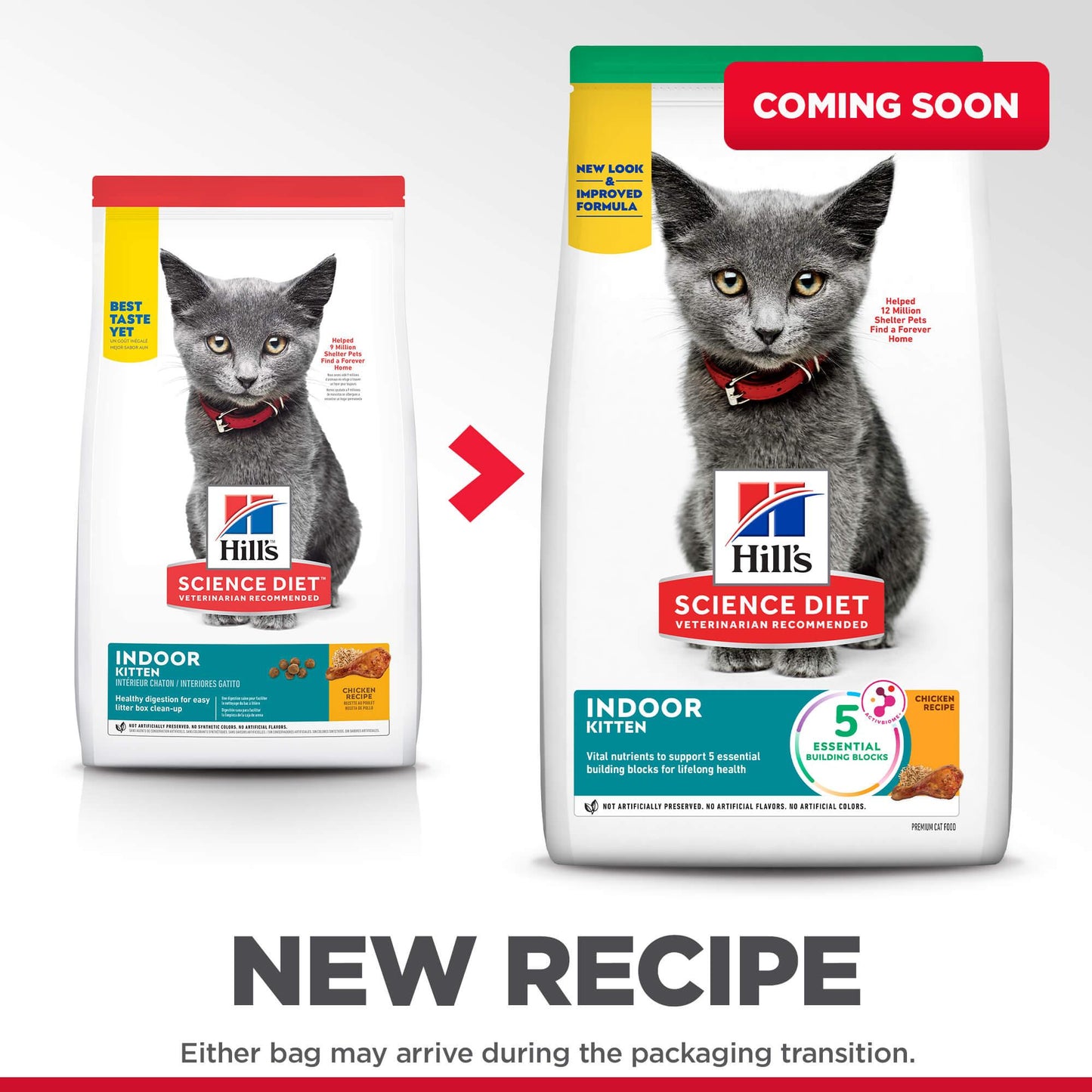 Hill's Science Diet Indoor Kitten Dry Cat Food