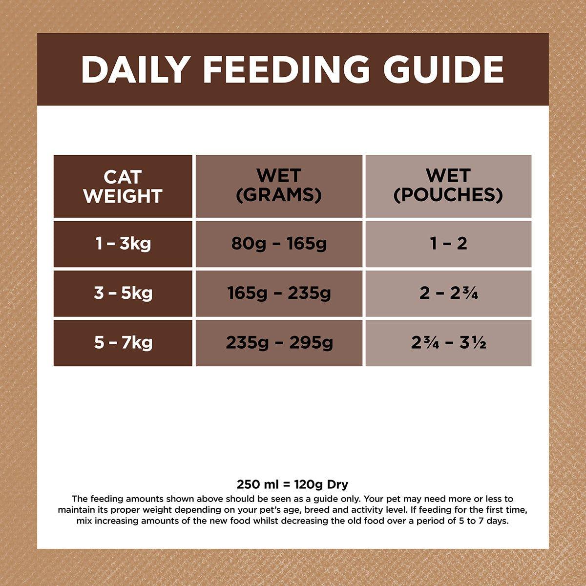 Ivory Coat Grain Free Adult Wet Cat Food Chicken & Kangaroo in Gravy