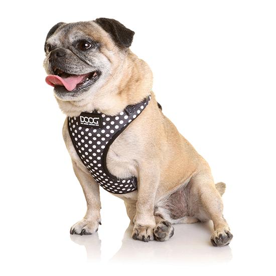 DOOG Neoflex Dog Harness Pongo