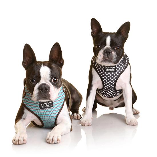 DOOG Neoflex Dog Harness Pongo