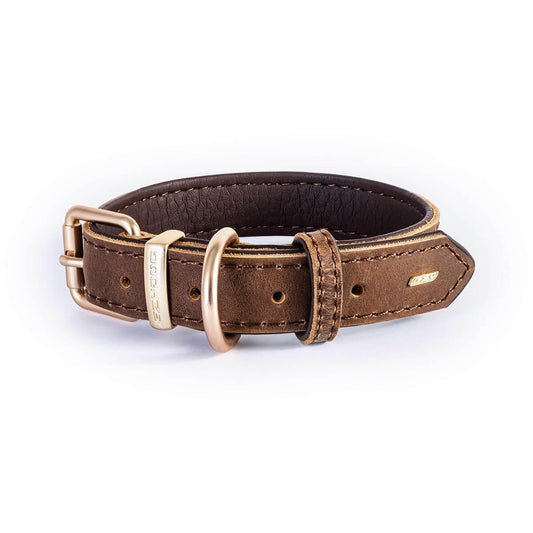 EzyDog Oxford Dog Collar Black