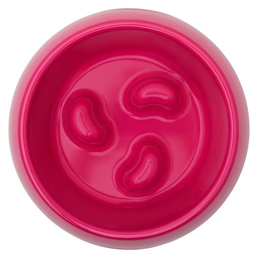 Buddy & Belle Slow Feeder Bowl