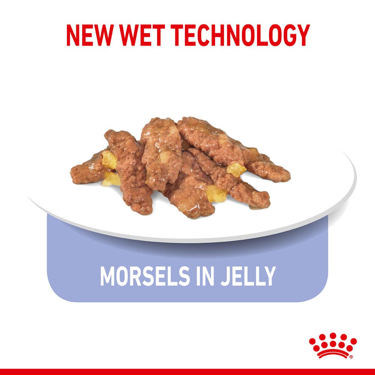 Royal Canin Indoor Jelly Wet Cat Food