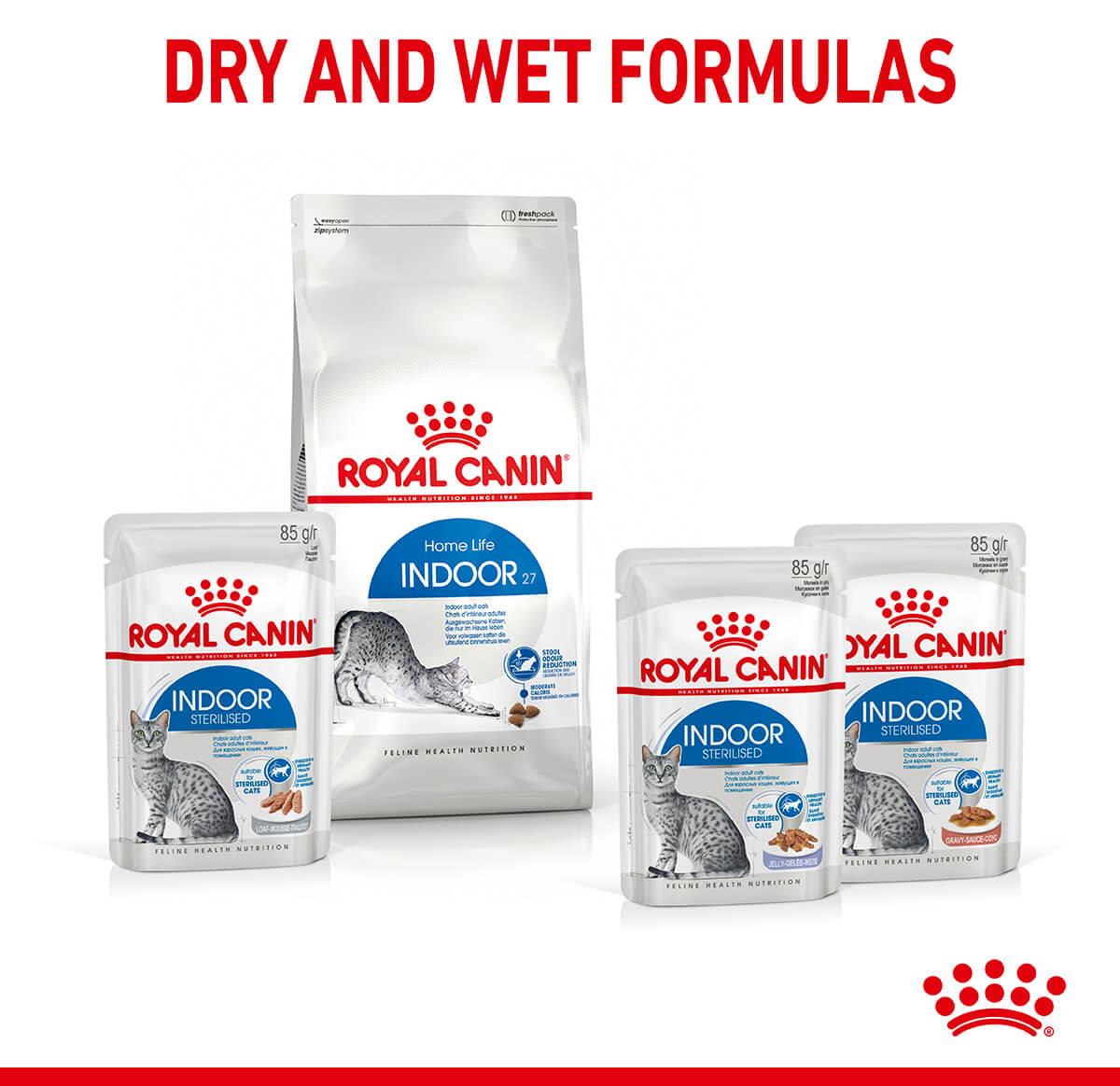 Royal Canin Indoor Jelly Wet Cat Food