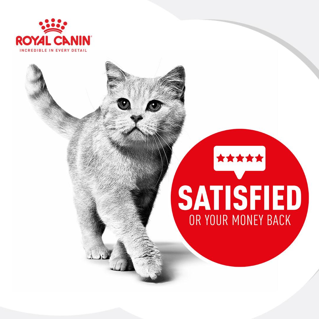Royal Canin Indoor Gravy Wet Cat Food