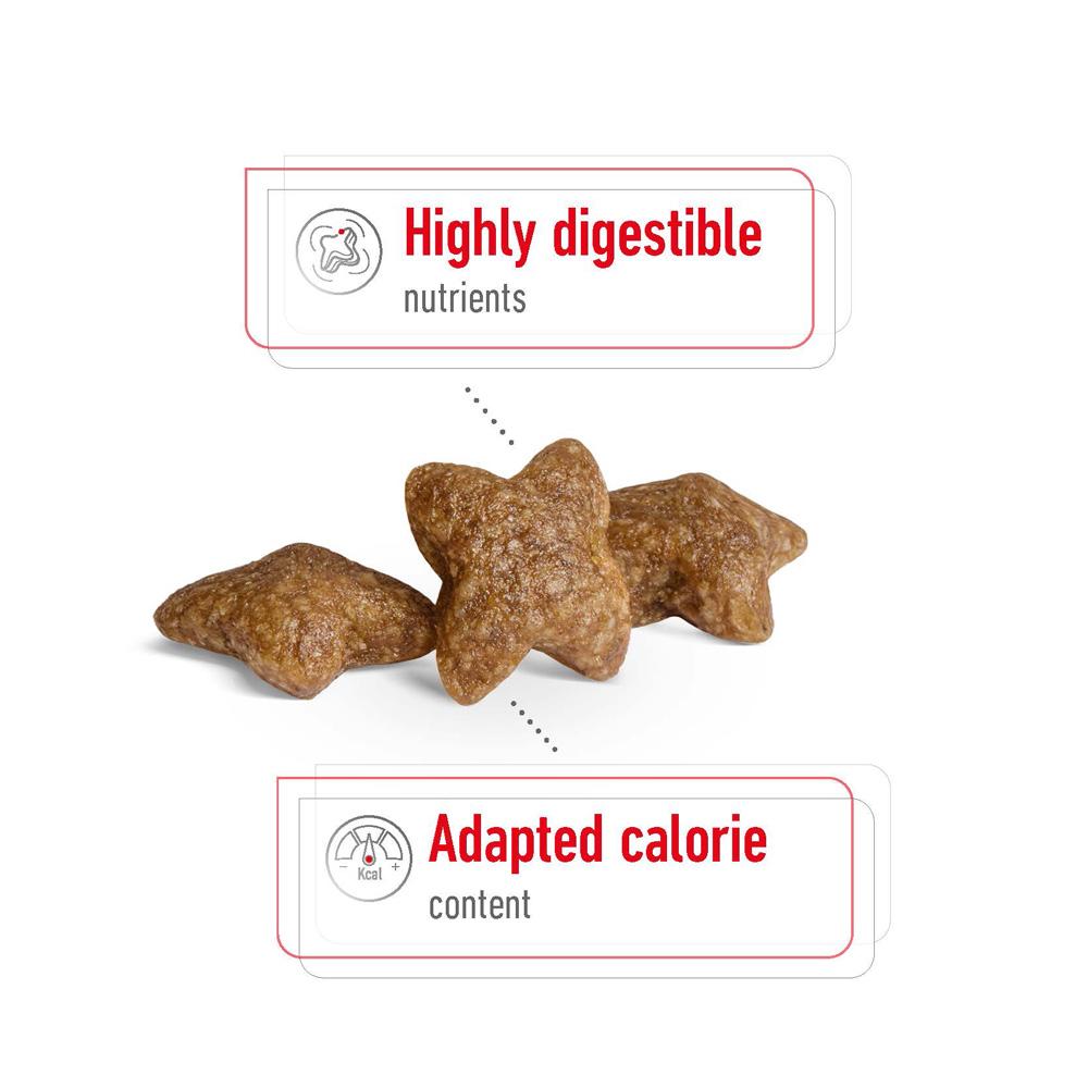 Royal Canin Mini Small Breed Adult Chicken Dry Dog Food