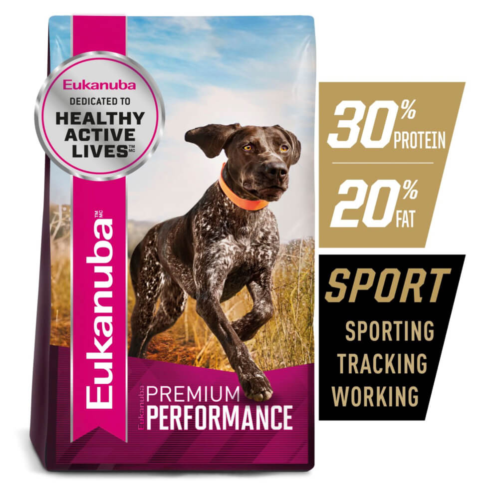 Eukanuba Sport Dry Dog Food