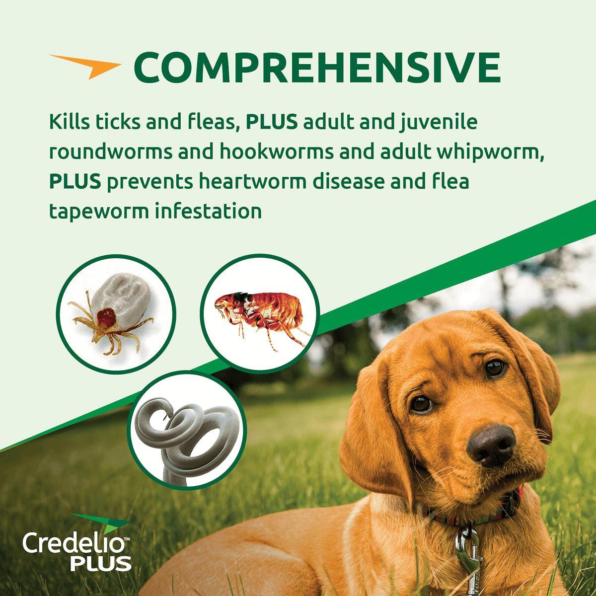 Credelio Plus Chewable Tablets For Small Dogs 2.8-5.5kg