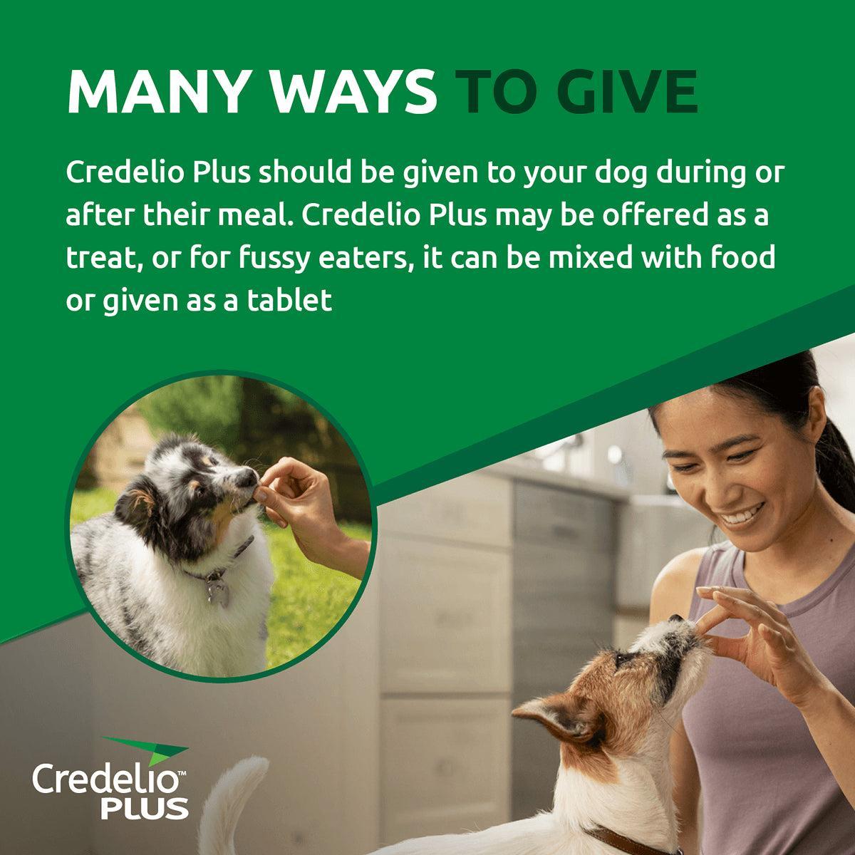 Credelio Plus Chewable Tablets For Small Dogs 2.8-5.5kg