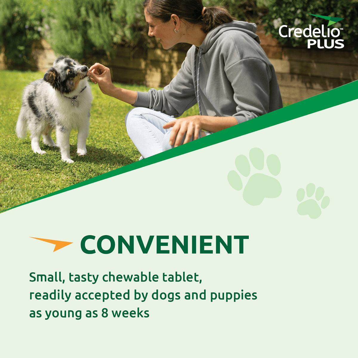Credelio Plus Chewable Tablets For Small Dogs 2.8-5.5kg