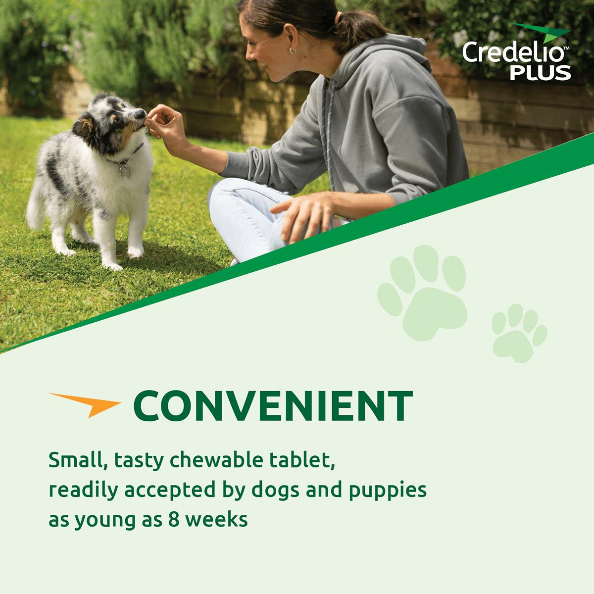 Credelio Plus Chewable Tablets For Large Dogs 11-22kg
