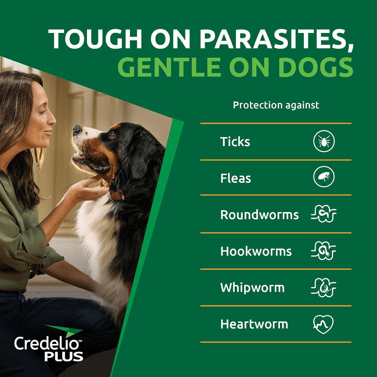 Credelio Plus Chewable Tablets For Small Dogs 2.8-5.5kg