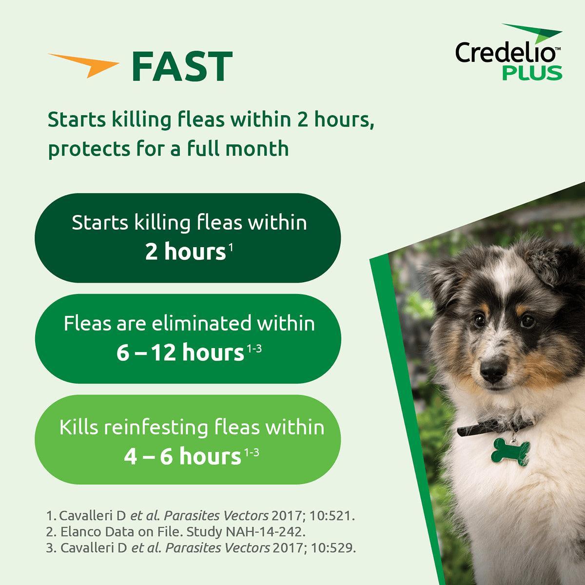 Credelio Plus Chewable Tablets For Small Dogs 2.8-5.5kg