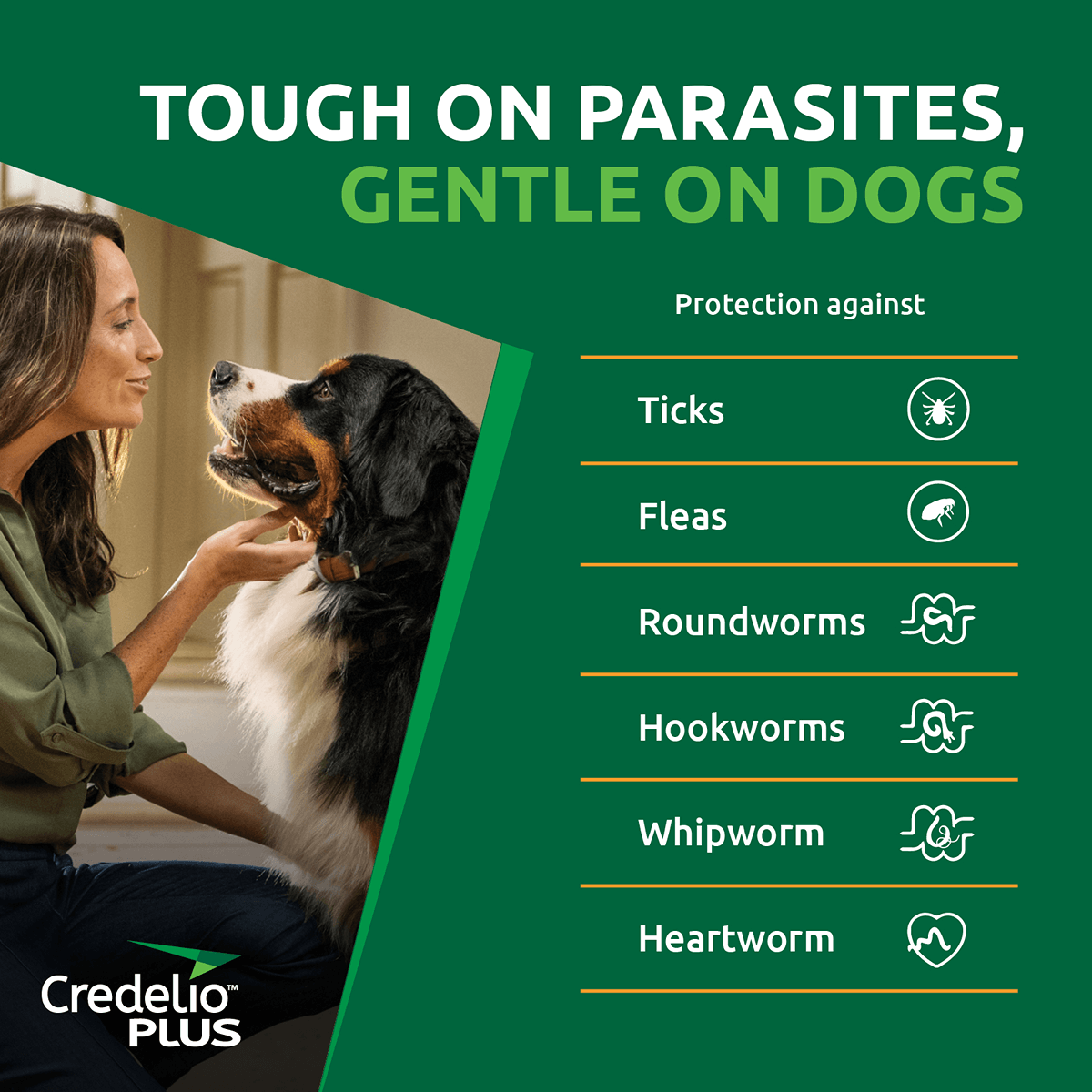 Credelio Plus Chewable Tablets For Medium Dogs 5.5-11kg