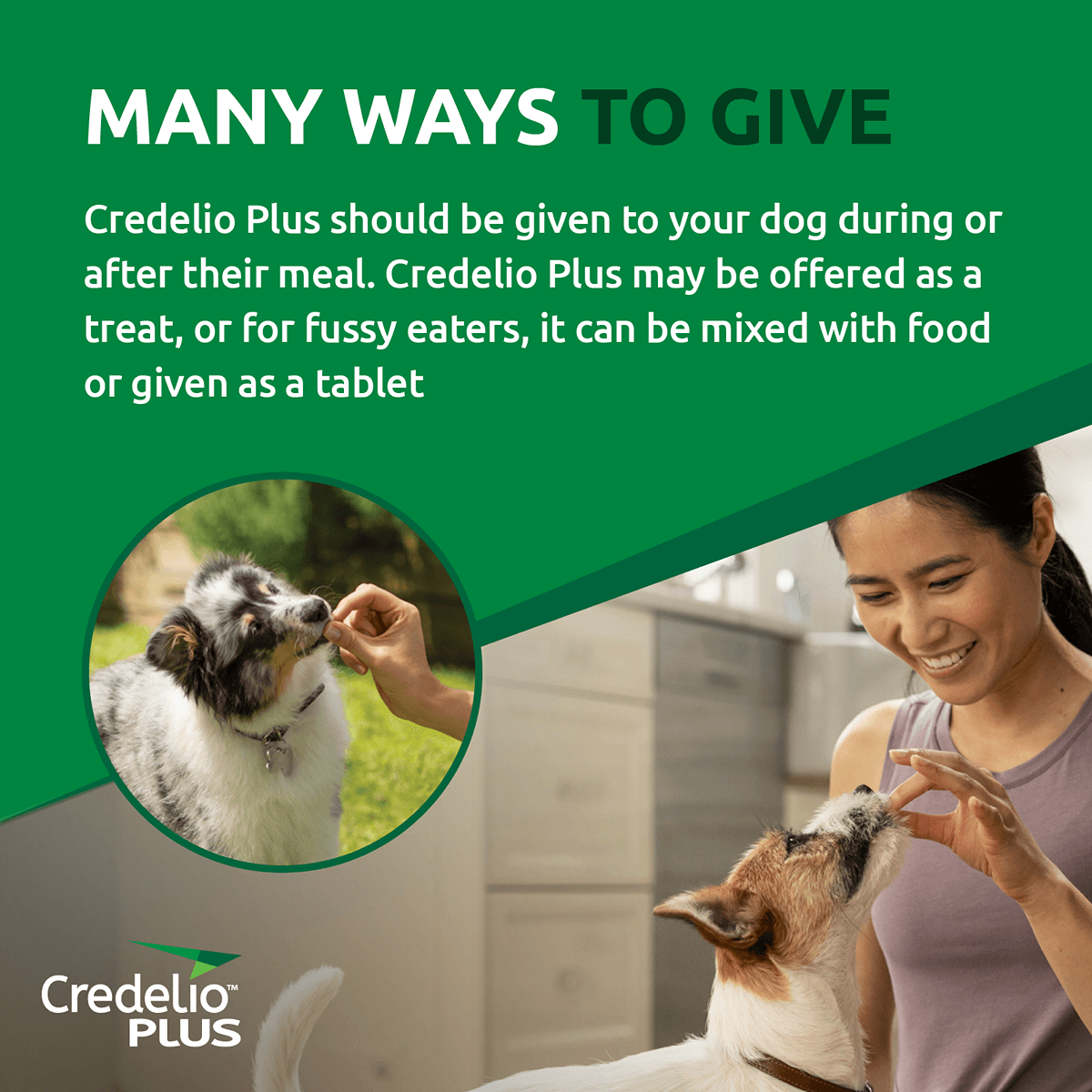 Credelio Plus Chewable Tablets For Medium Dogs 5.5-11kg