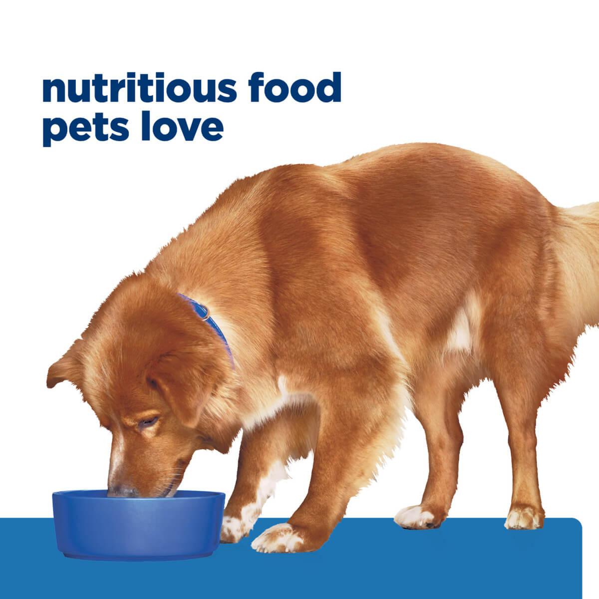 Hill's Prescription Diet Derm Complete Environmental & Food Sensitivities Dry Dog Food