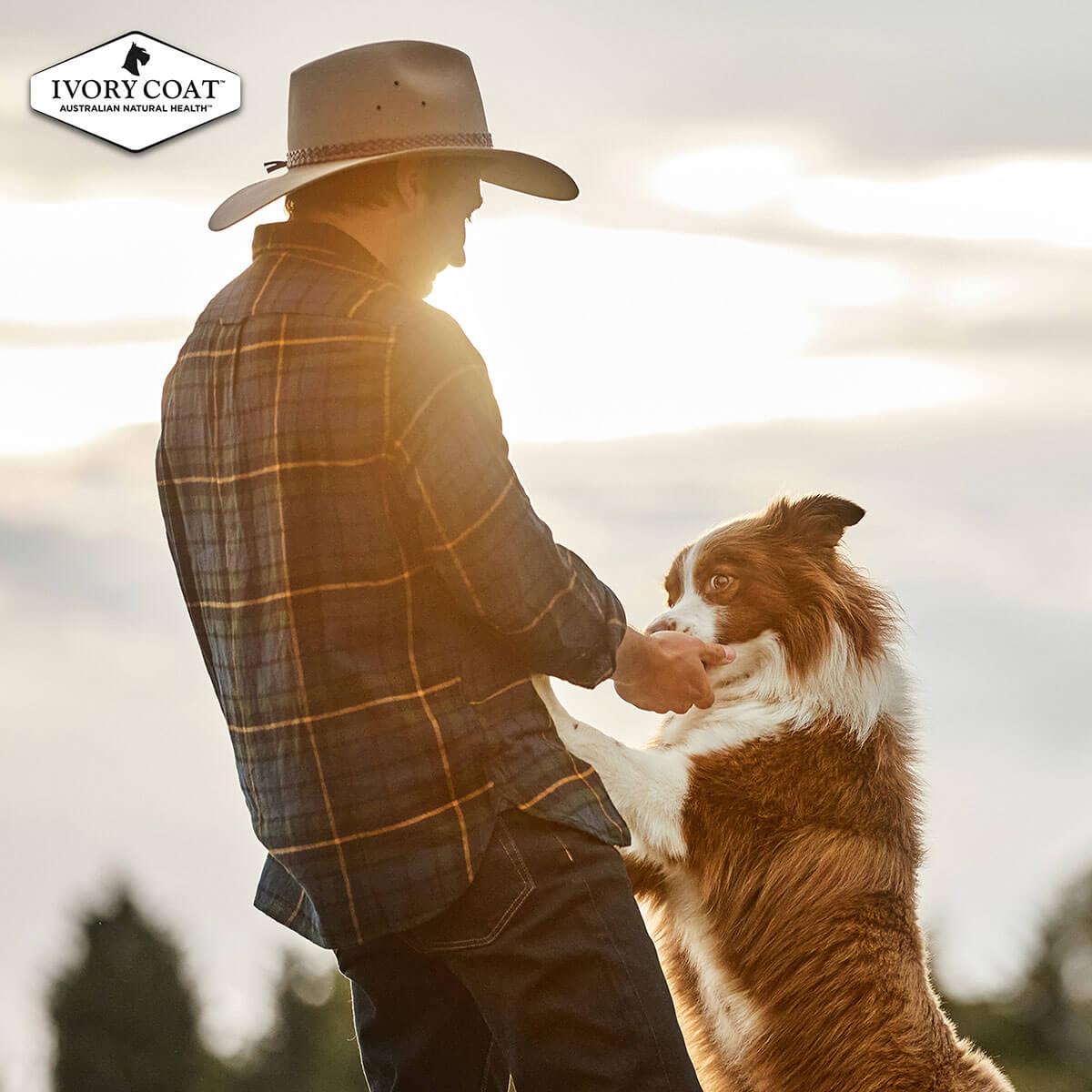 Ivory Coat Adult Chicken & Brown Rice Dry Dog Food