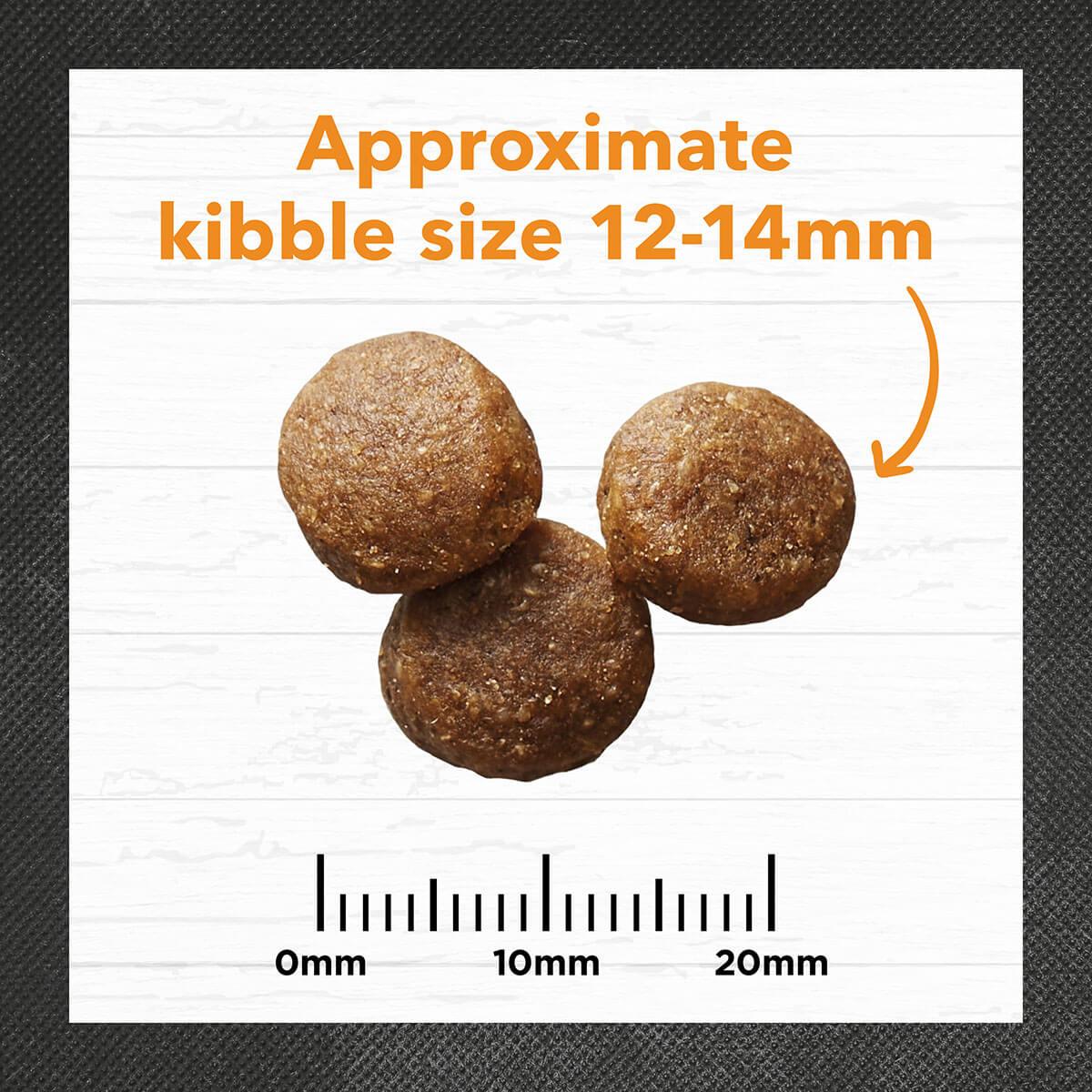 Ivory Coat Adult Chicken & Brown Rice Dry Dog Food