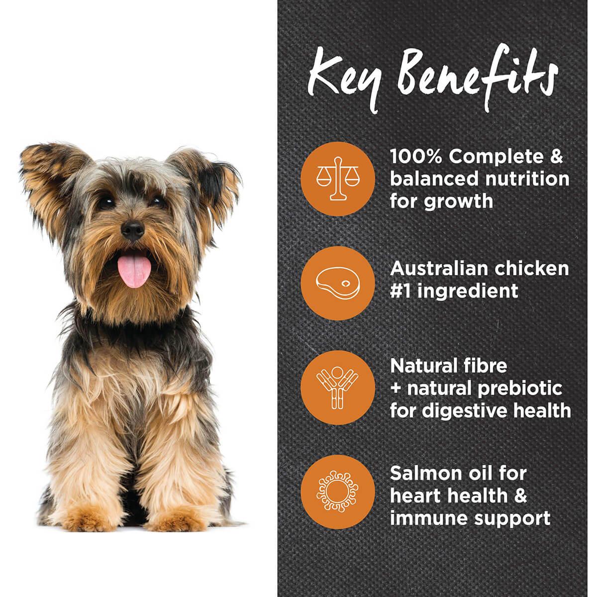 Ivory Coat Adult Chicken & Brown Rice Dry Dog Food