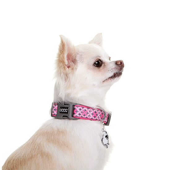 DOOG Neoprene Toto Dog Collar